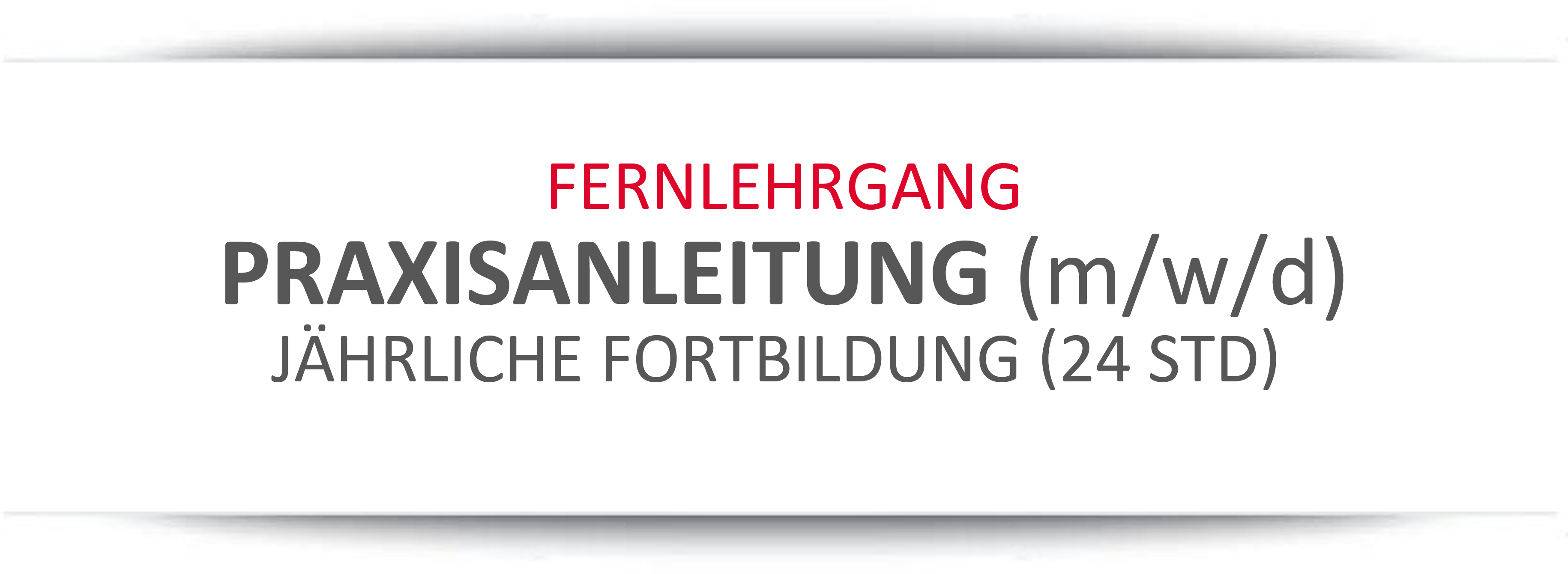 BUT NEU 030504 Fernlehrgang Praxisanleitung 24std