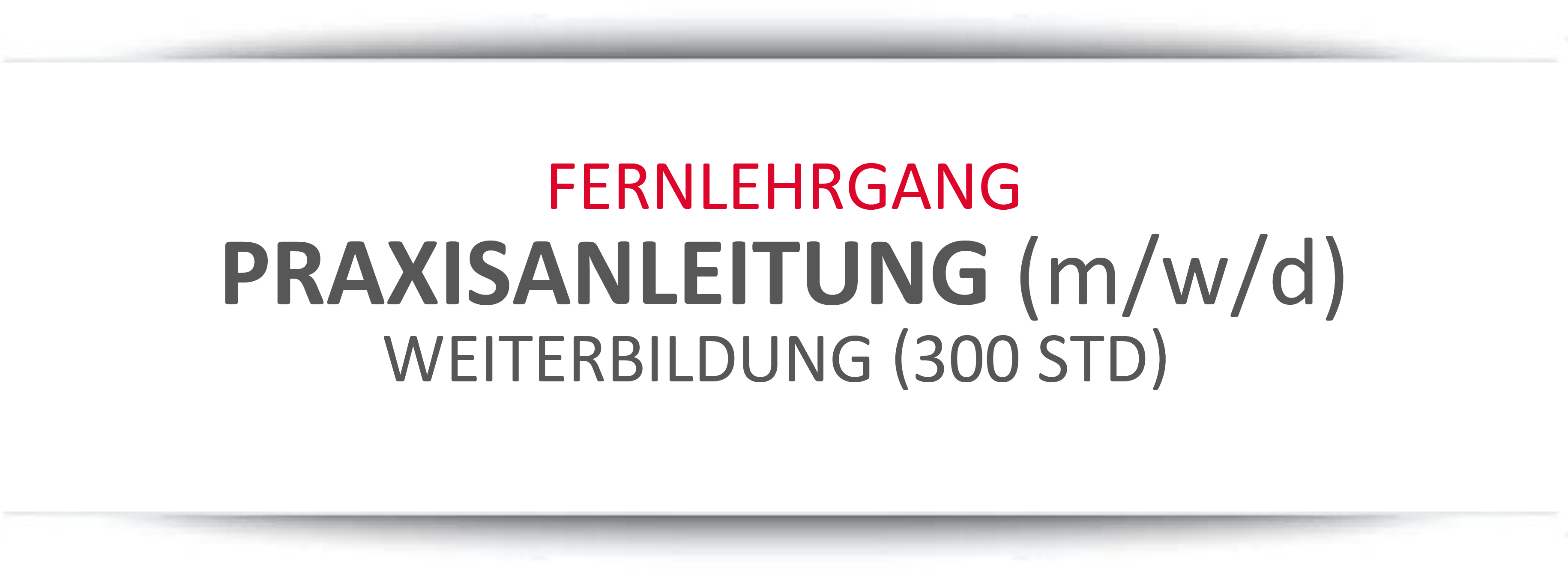 BUT NEU 030504 Fernlehrgang Praxisanleitung 300std